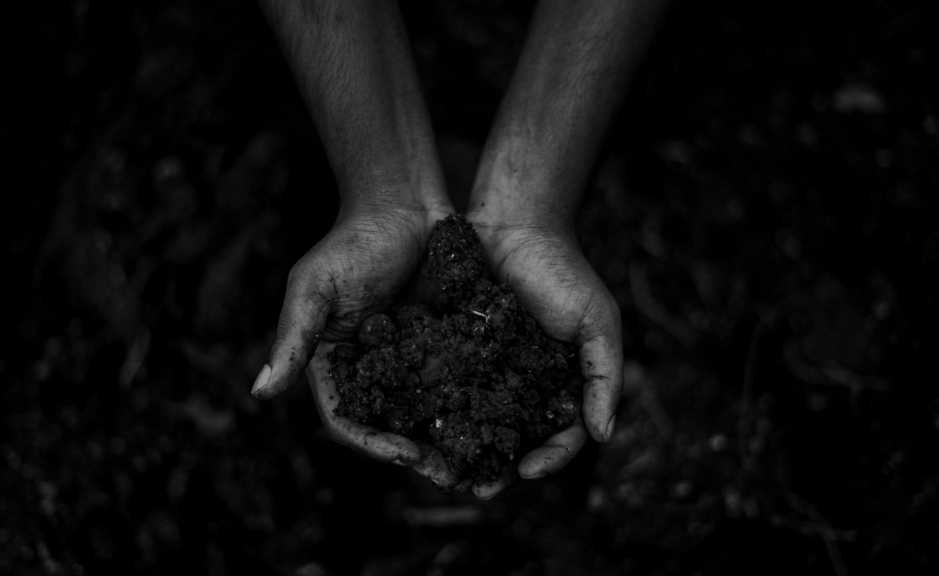 close up of hands holding soil outdoors